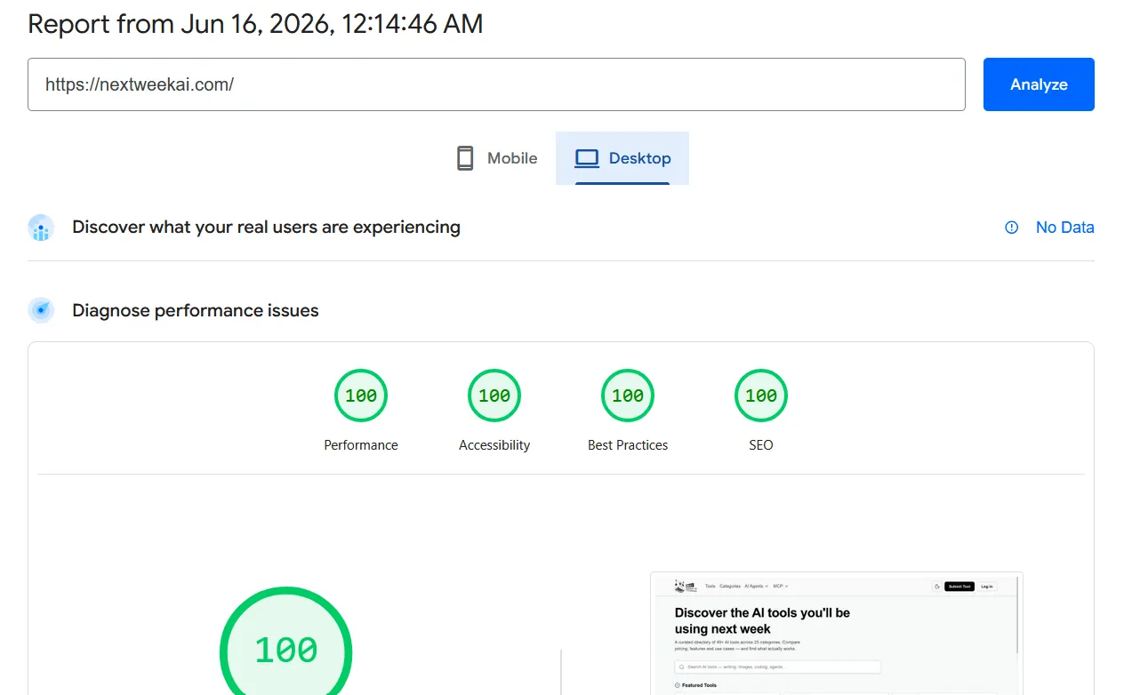 Screenshot of Lighthouse performance score showing 100/100